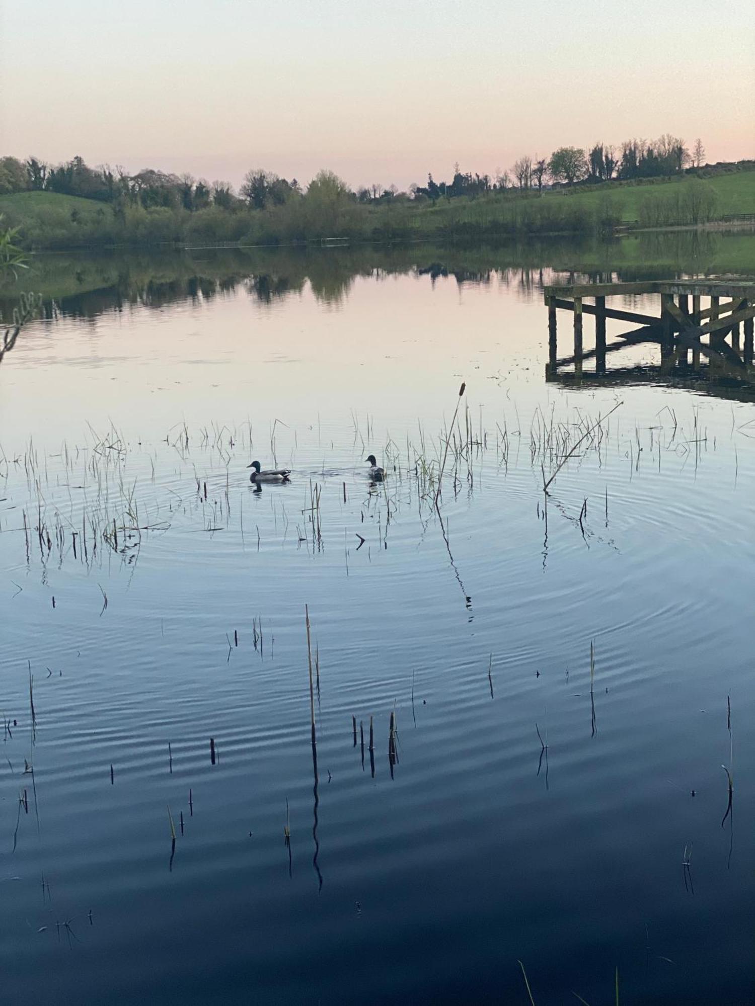 Killyfole Lakeside Lodges Corranny Εξωτερικό φωτογραφία