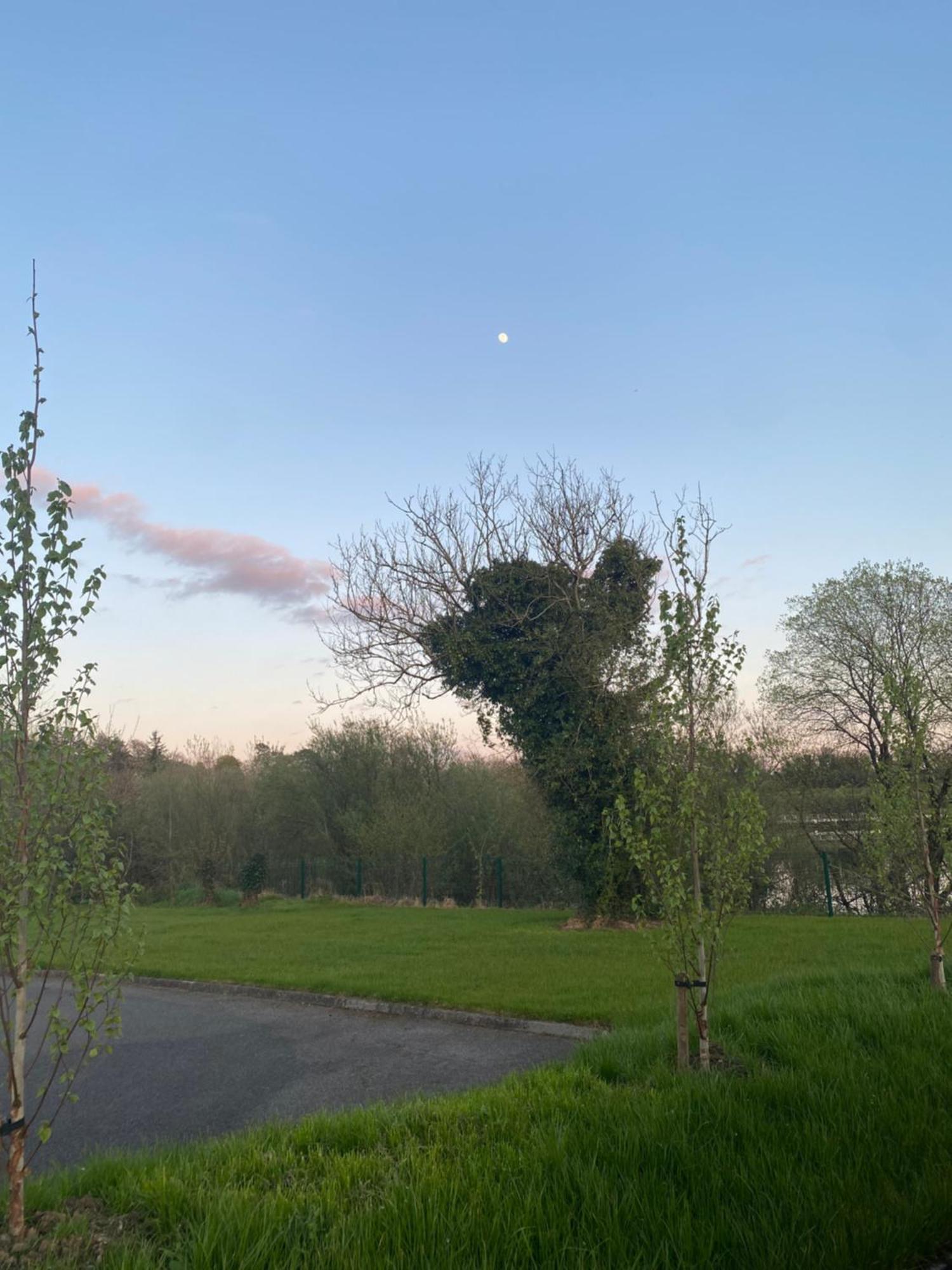 Killyfole Lakeside Lodges Corranny Εξωτερικό φωτογραφία